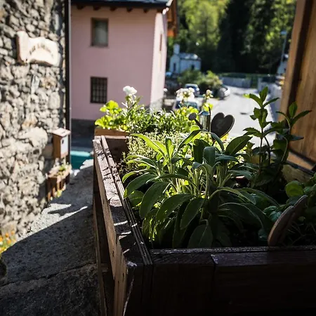 Il Girasole Bed and Breakfast Αόστα