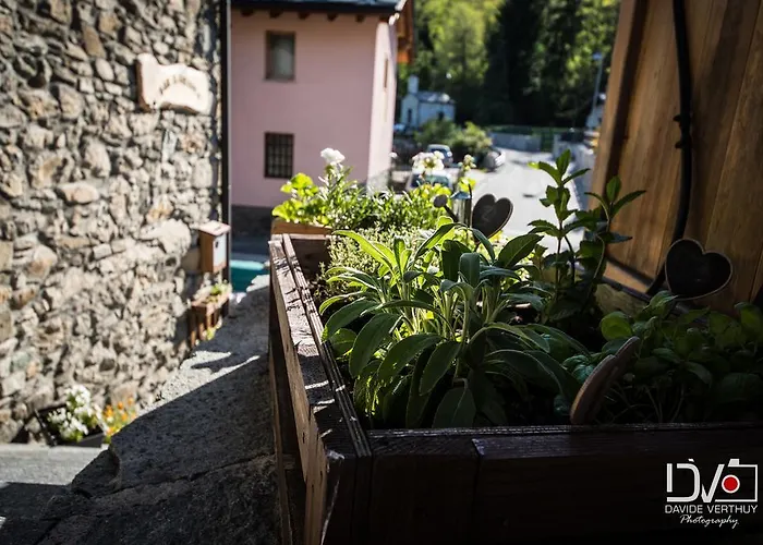 Il Girasole Отель типа 